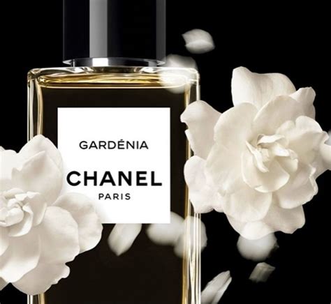 what does chanel gardenia smell like|buy Chanel gardenia perfume online.